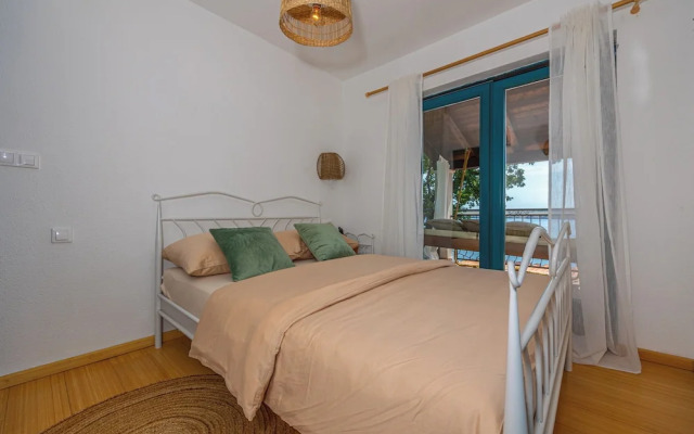 Villa Cikas Palmhouse