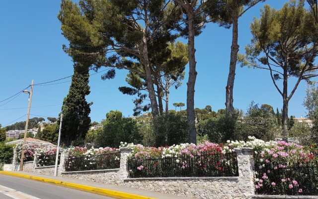 Le patio des Mimosas