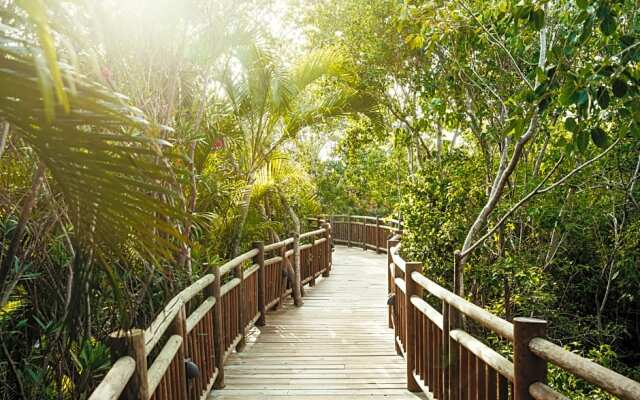 The Grand Mayan Riviera Maya