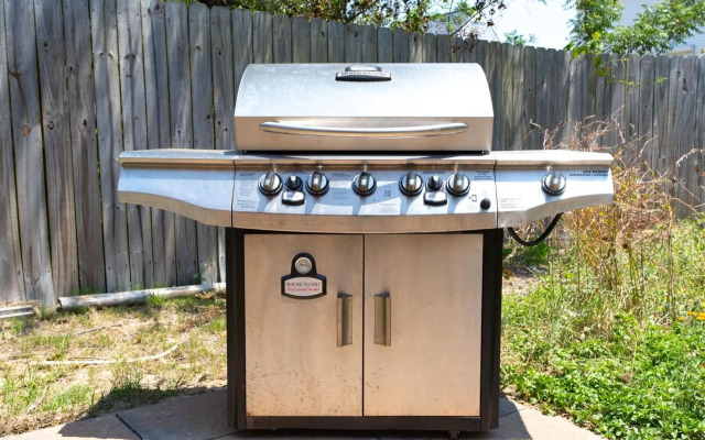 5008 The Salty Squirrel