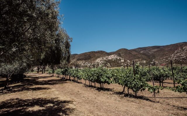 Rancho Toros Pintos