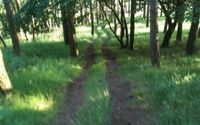 Wiltonburn Farm Hawick B&B & Self Catering