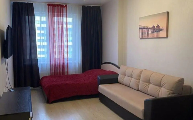 Апартаменты на улице Вильгельма де Геннина 40