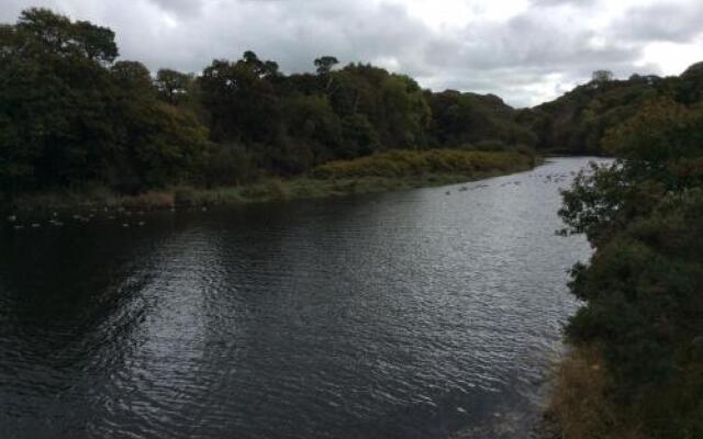 Pontyderi