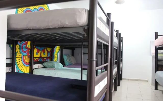 Mandala Hostel