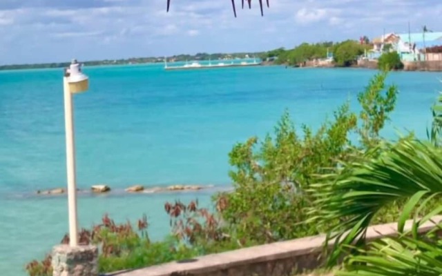 Rum Punch Lodge