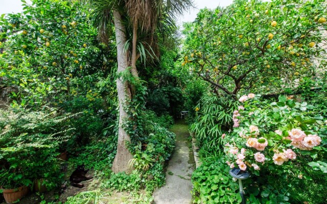 Il giardino di aranci e limoni