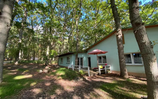 Ferienpark-Eichenwald