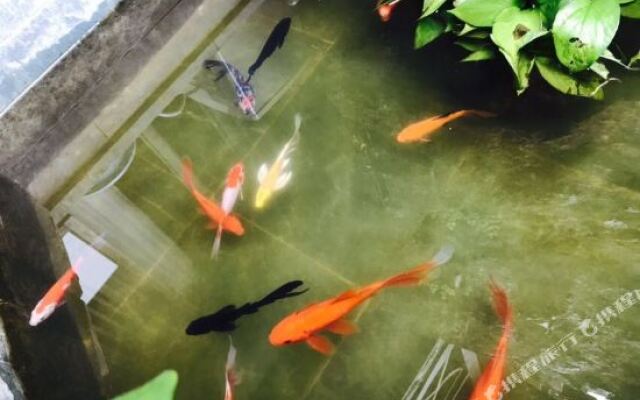 Lijiang Luohuaju B&B (Lijiang Ancient City Wuyi Street Branch)