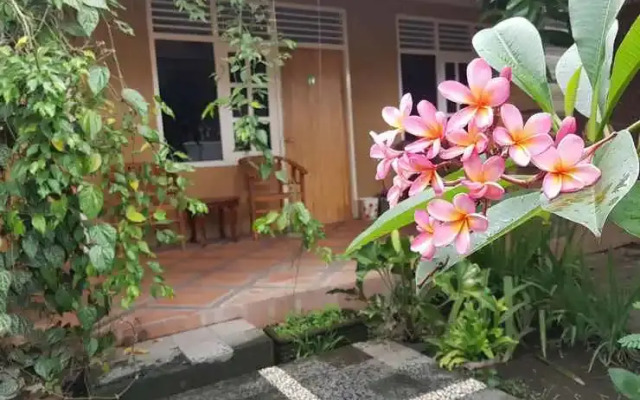 Omah Konco Yogyakarta