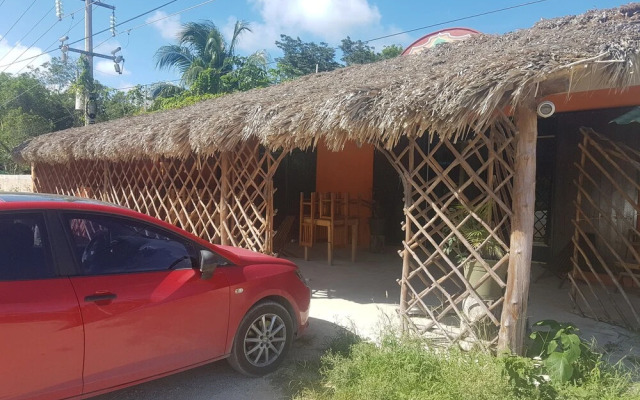 Cedro Tulum