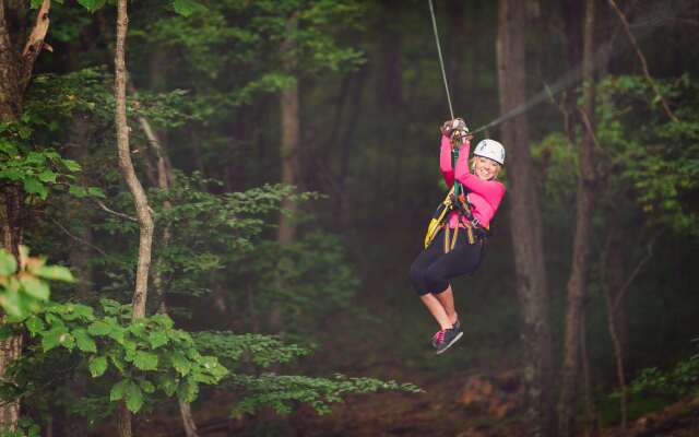 Salamander Resort And Spa