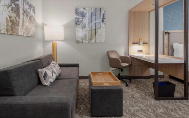 SpringHill Suites by Marriott Durham City View