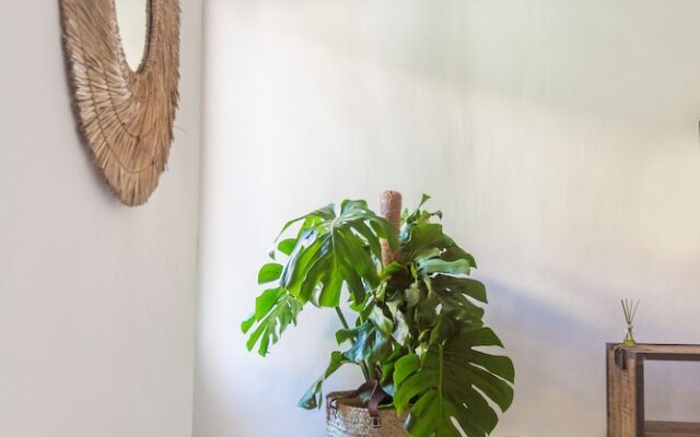 Alojamientos la Vila Mayor 7