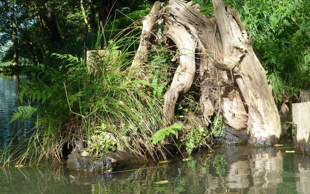 Spreewald - Pension Spreeaue