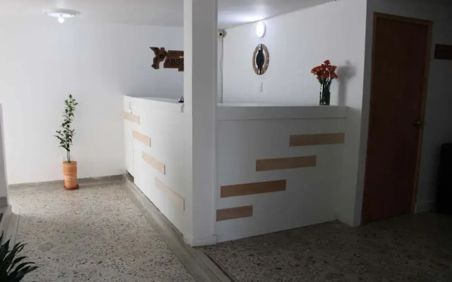Absolute Hotel & Hostel Boutique