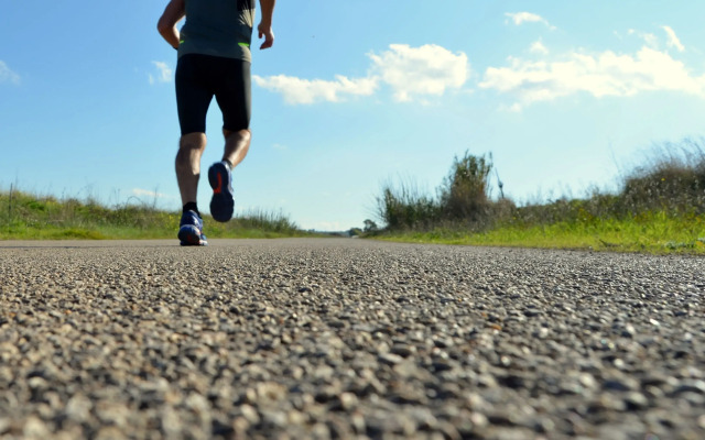 B&B La Casa Pugliese