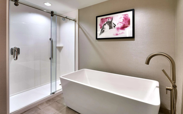 Hilton Garden Inn Bozeman