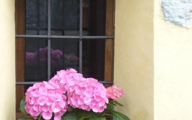 Le Chaton Fait Ronron