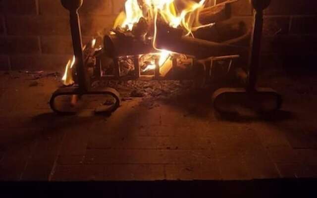 Koheilan Oriental Lodge Farm