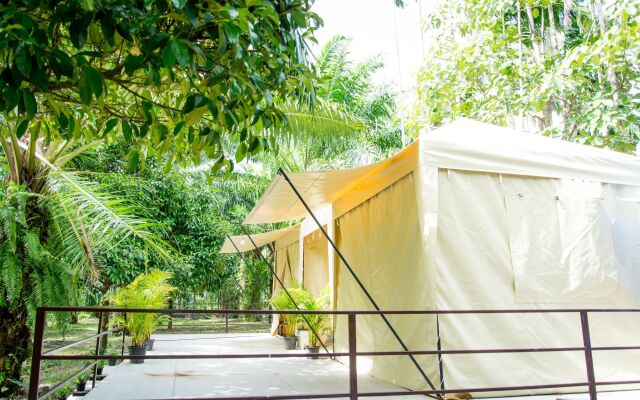 Tonphet Greenery Garden