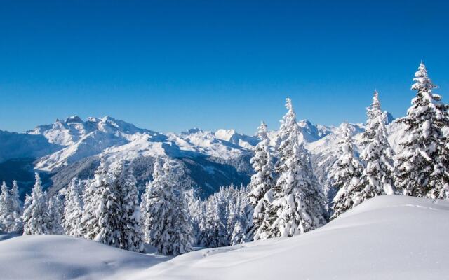 Les joux 17