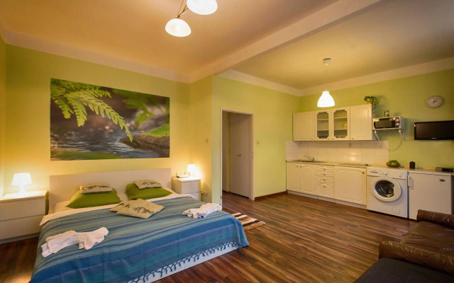 Apartment for Friends