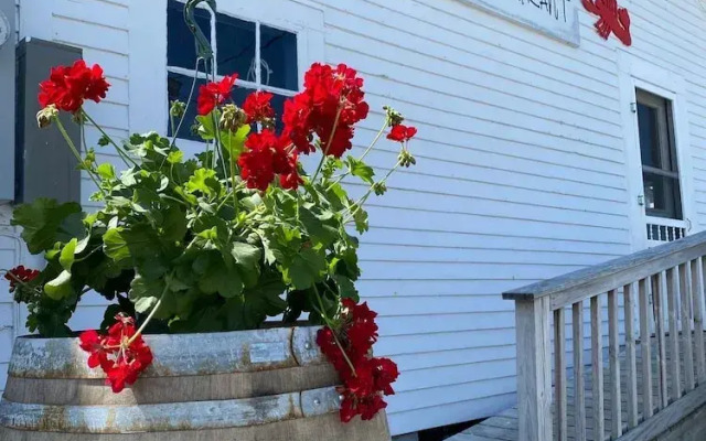 Spinneys Guesthouse & Beach Cottages