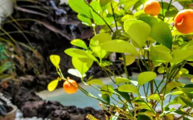 Aohom Santuario Hotel & Spa