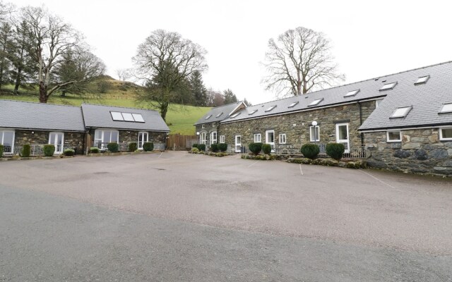 Arenig