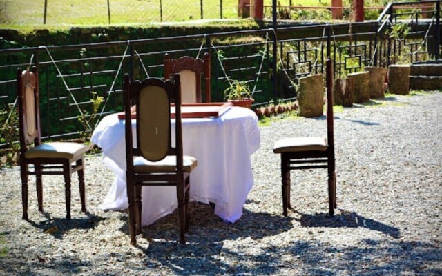 Hostel Abodes Trees of Heaven