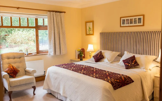 Ael Y Bryn Bed and Breakfast