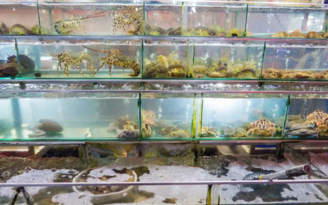 Oyo 952 Linh Dan Bungalow