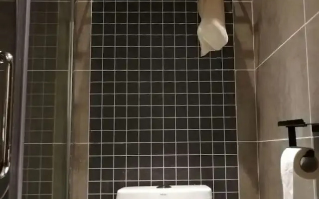 Artistic Conception Yard