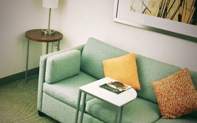 SpringHill Suites Austin Northwest/Arboretum