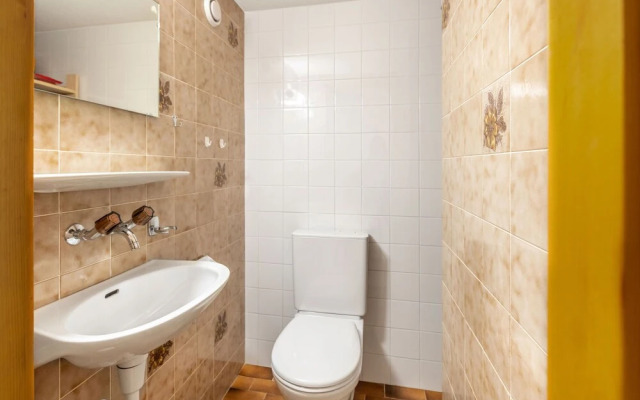 Centaure Sainte-croix