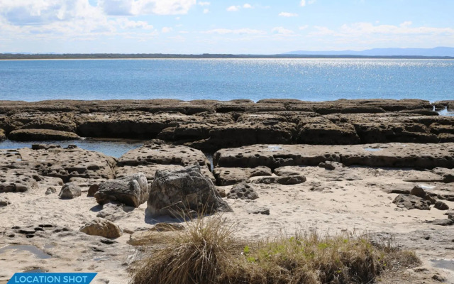 Nest - Pet Friendly - 2 Min Walk to Beach