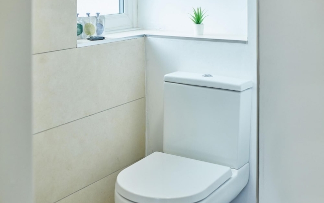 Host Stay The Bird S Nest Suite