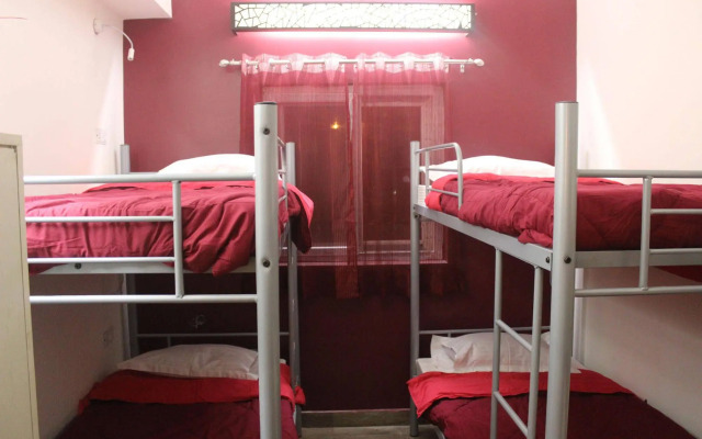 Joey's Hostel