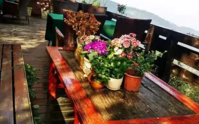 Taole Forest Hostel