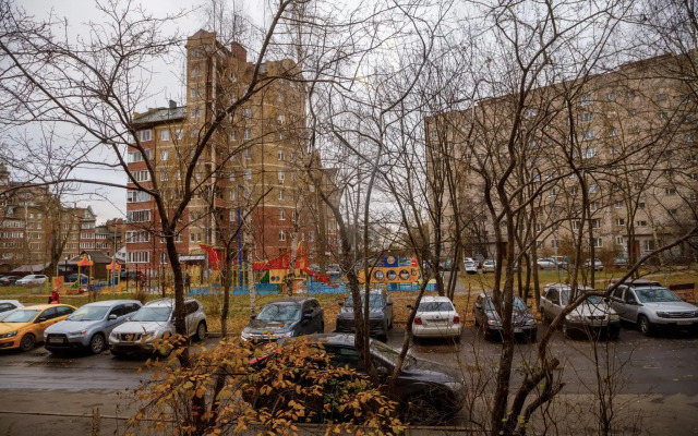 Apartments v Podmoskovye on Tolmacheva Street