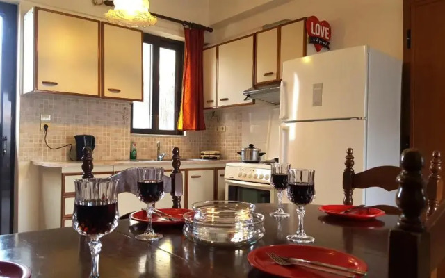 Horizon apartment Athens near to Acropolis, sea & subway- 5min