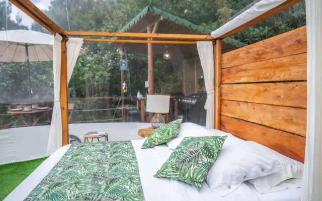 BubbleSky Glamping
