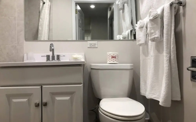 North East Downtown Boston Rentals