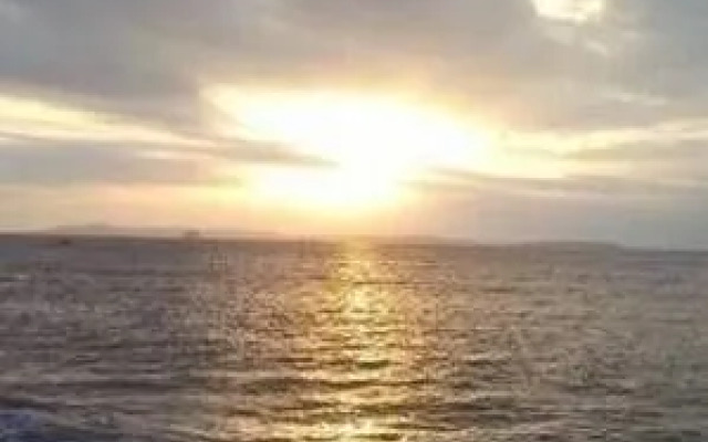 Small White Whale Inn