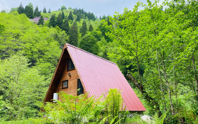 Senoz Mountain House - Bungalow