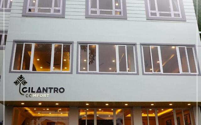 Cilantro Comfort