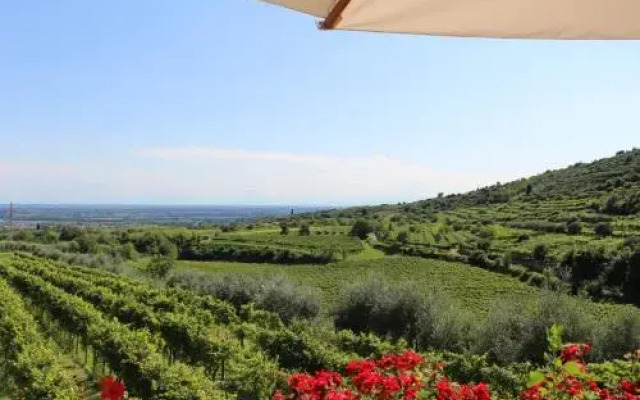 Agriturismo Corte Spinosa