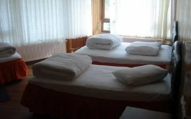 Ayder Yesil Vadi Otel
