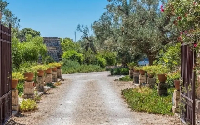 Tia Maria Country Inn